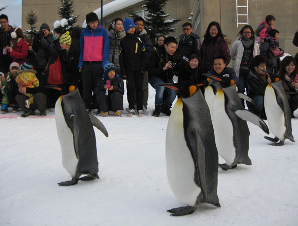 北海道エリアの旅館・ドライブイン